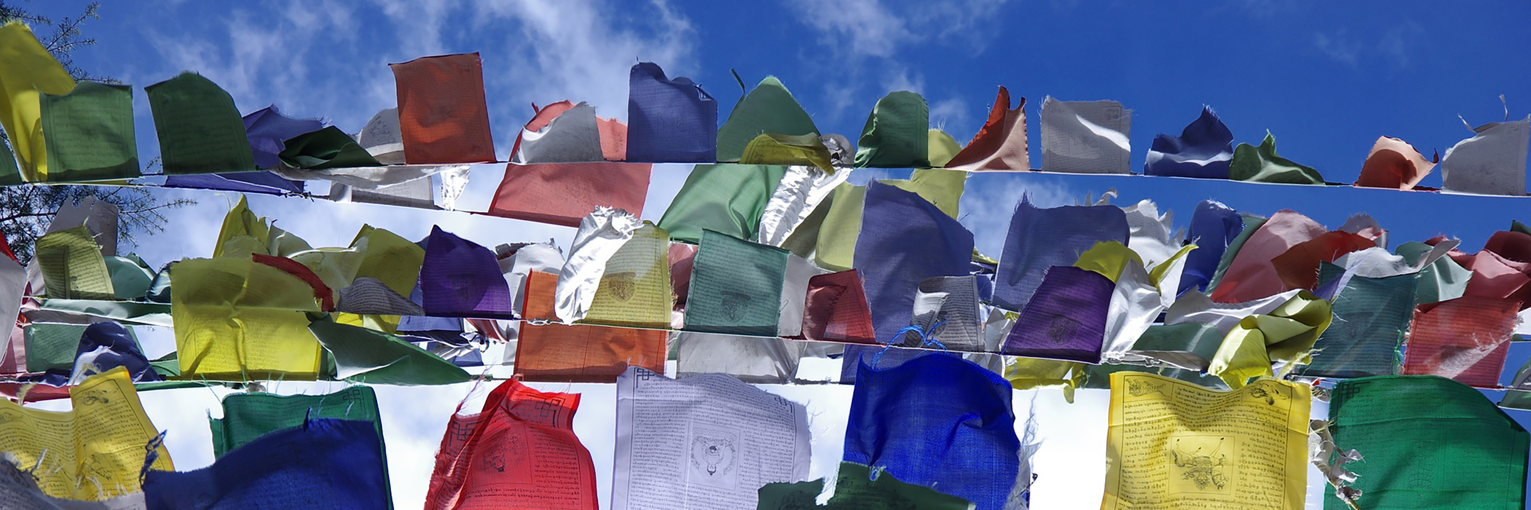 Tibet flags