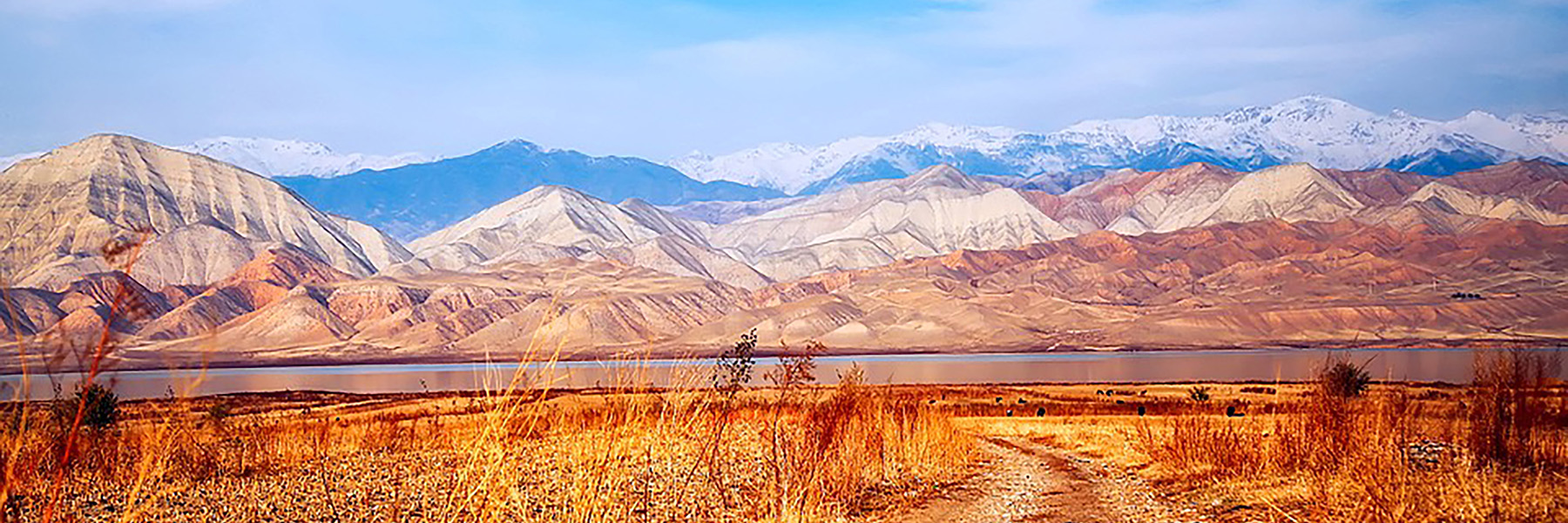 A field, lake, and mountains in the background