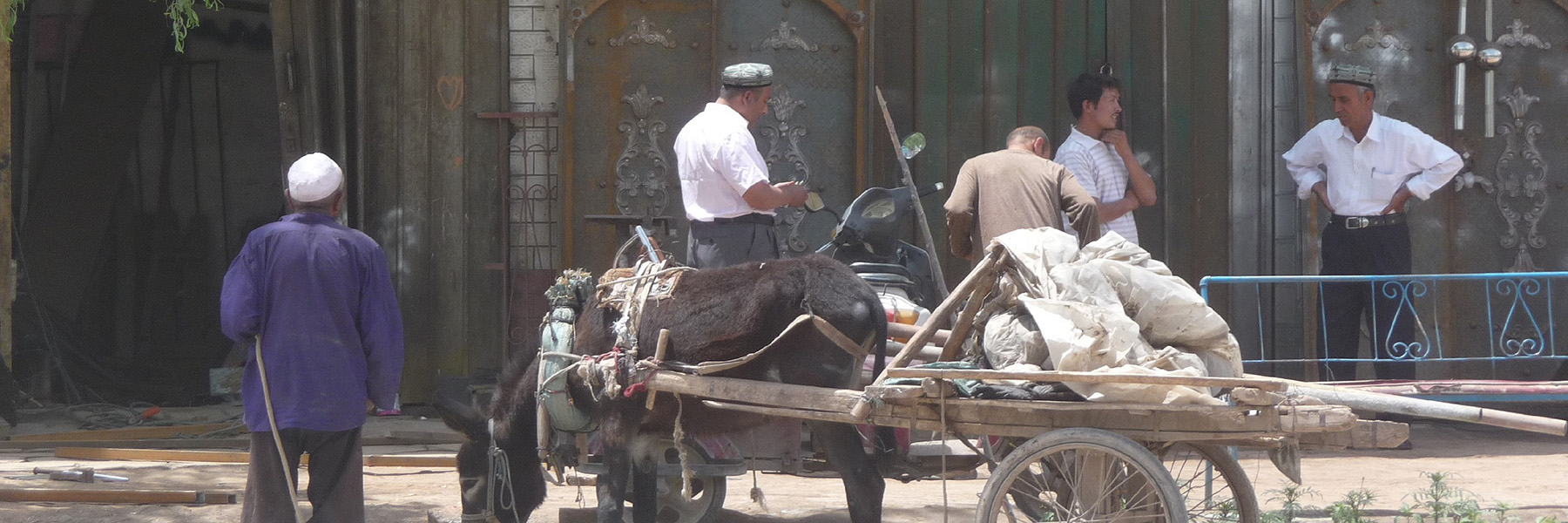 Mule cart in Kashgar