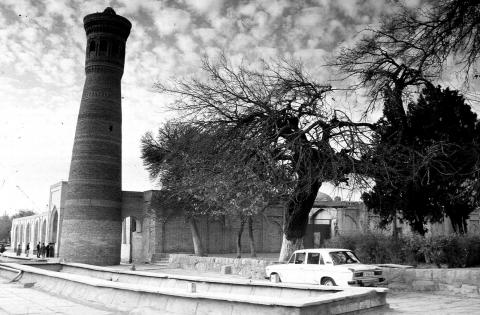 Car and short tower