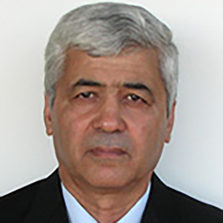 Malik A. Hodjaev